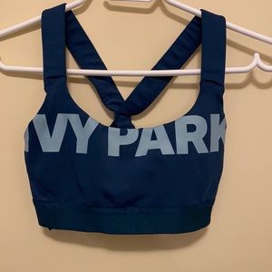 Ivy Park sports bra